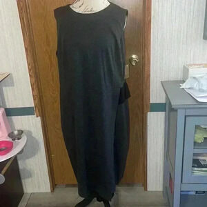 NWT Women’s Nipon Boutique Dress